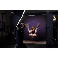 Manfrotto Lastolite LL LB7938 EzyFrame Vintage Background 2 x 2.3m Aubergine with frame