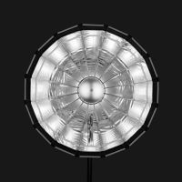 Godox S65T-P Deflector Plate