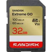 SanDisk Extreme GO SDXC UHS-I 32GB 100MB/s V30 (SDSDXGN-032G-GNCIN)
